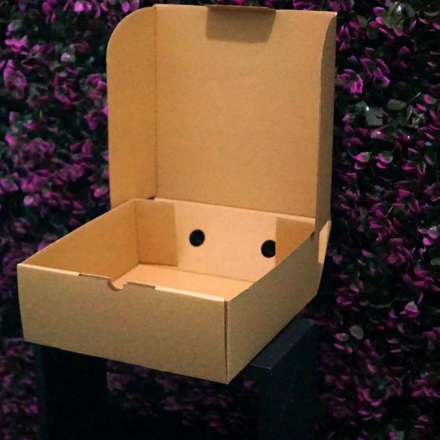 

T5D⁑ Kotak Packaging Polos Tinggi 25 x 25 x 12 cm - Pizza Box - Bentuk Kotak TOP PRODUK