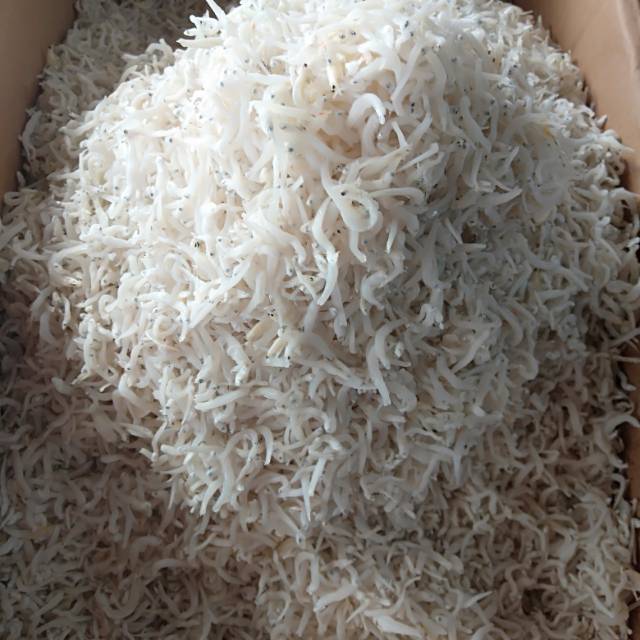 

Teri nasi putih cantik