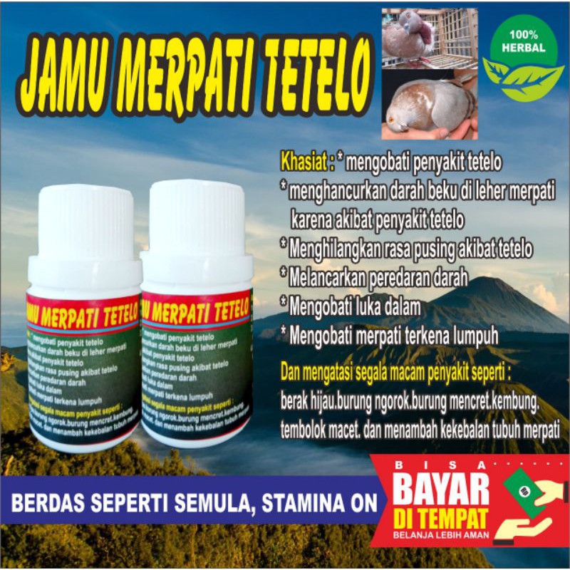 

ISI 100 BUTIR OBAT MERPATI TETELO HERBAL