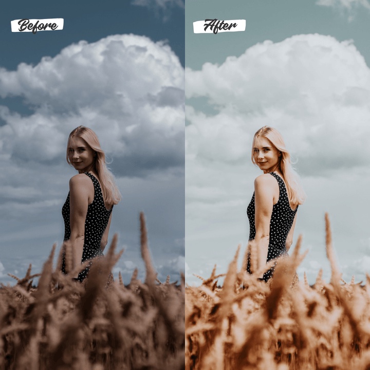 6 Premium Lightroom Preset Boho Dream Pack