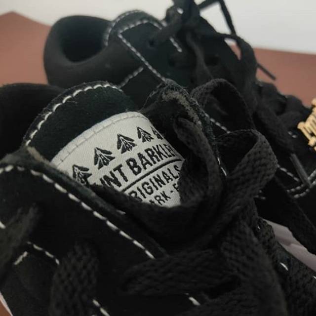 Saint Barkley X Stellar Fest