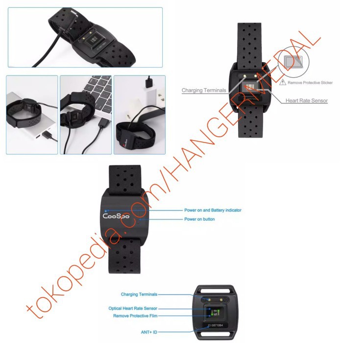 CooSpo Heart Rate Monitor Armband lengan Optical dual ANT BLUETOOTH HR