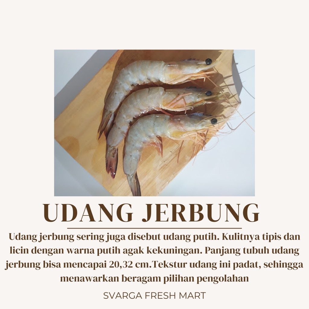 

Udang Jerbung
