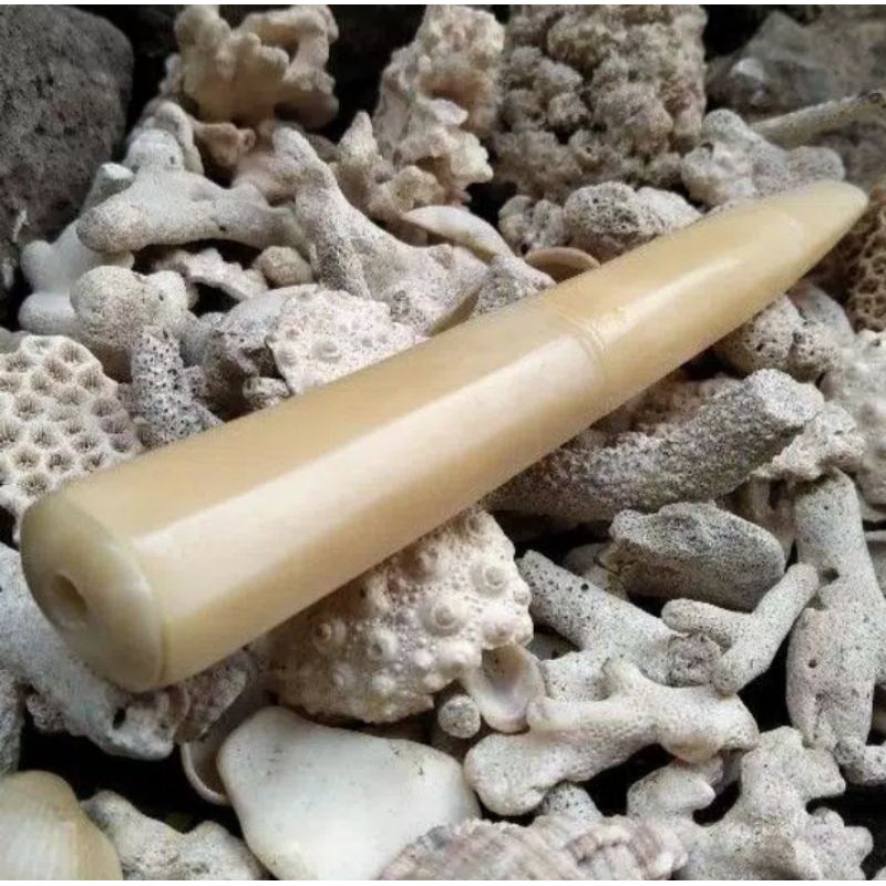 PIPA CANGKLONG TULANG SAPI JUMBO SUPER