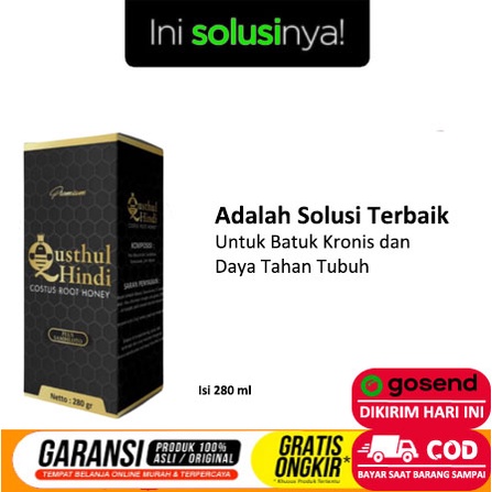 Qusthul Hindi Madu Premium Costus Root Honey Plus Sambiloto 280gr Original