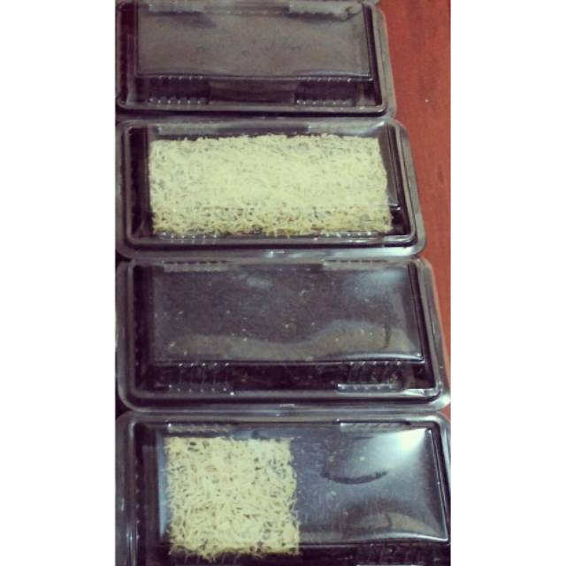 

Brownies Kukus