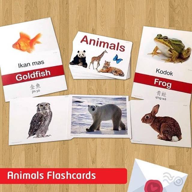 Flash and learn card ABC animal fruit &amp; vegetable number thing flashcards english kartu belajar anak