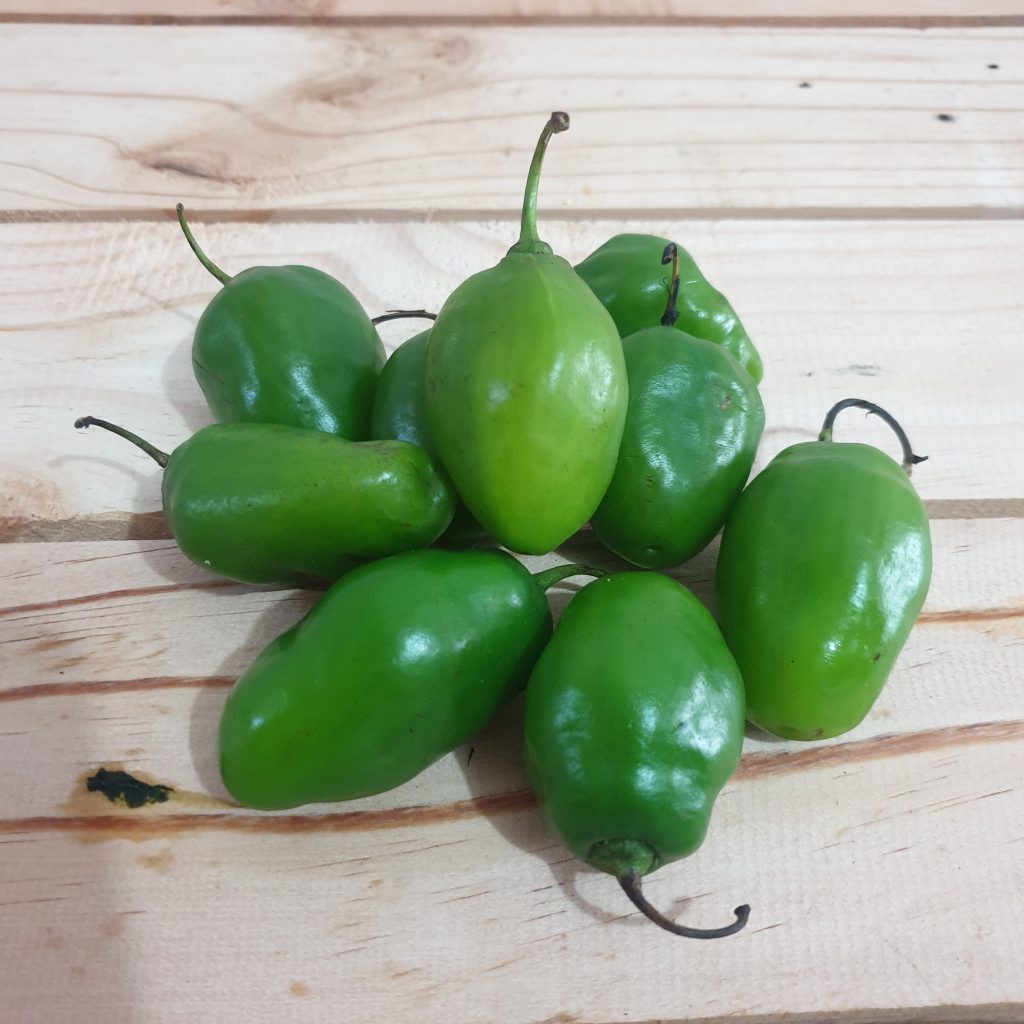 

Cabe gendot 250 gram | FREE minimal belanja 69rb CEK DESKRIPSI