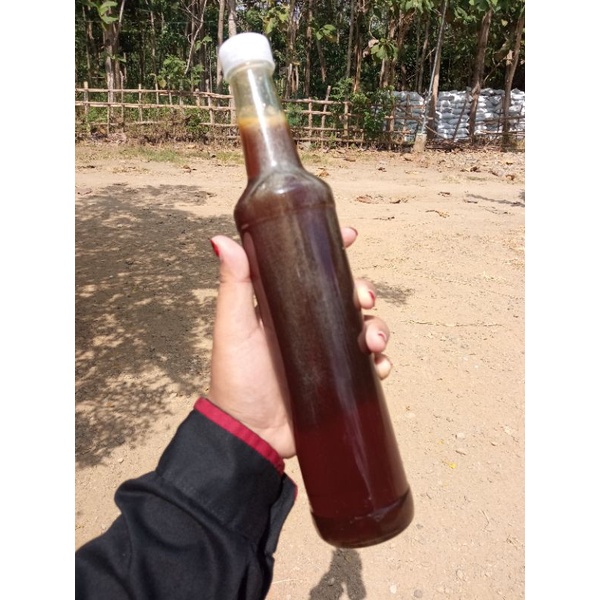 

Madu murni Acasia carva