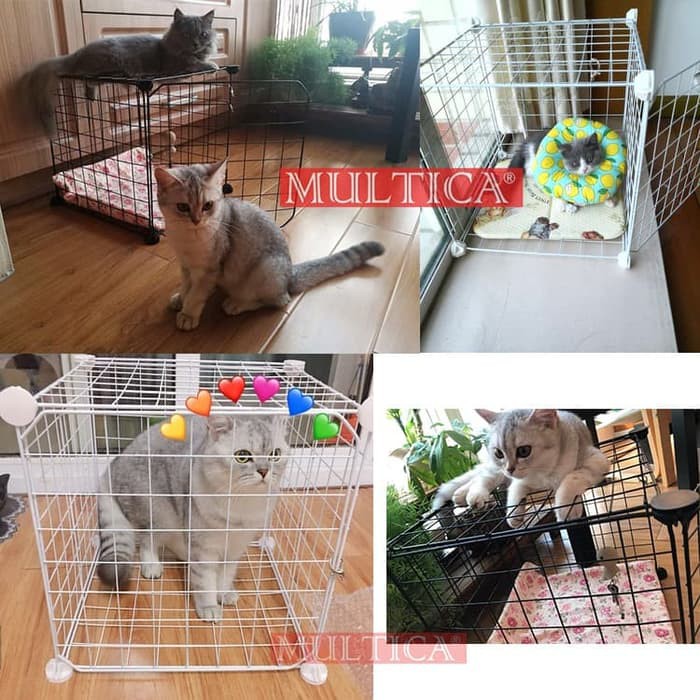 Image of Multica Kandang Portable Hewan Binatang Anjing Kucing Tipe Mika Mirror #5