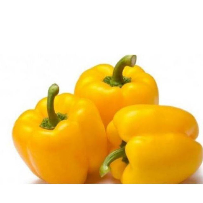 

paprika kuning fresh per buah