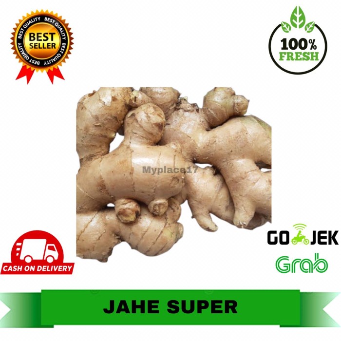 

Ge6012Gtb Jahe Super Ds501Ghg