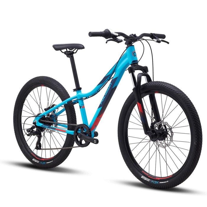 Sepeda Gunung Anak Remaja Polygon MTB 24 Relic