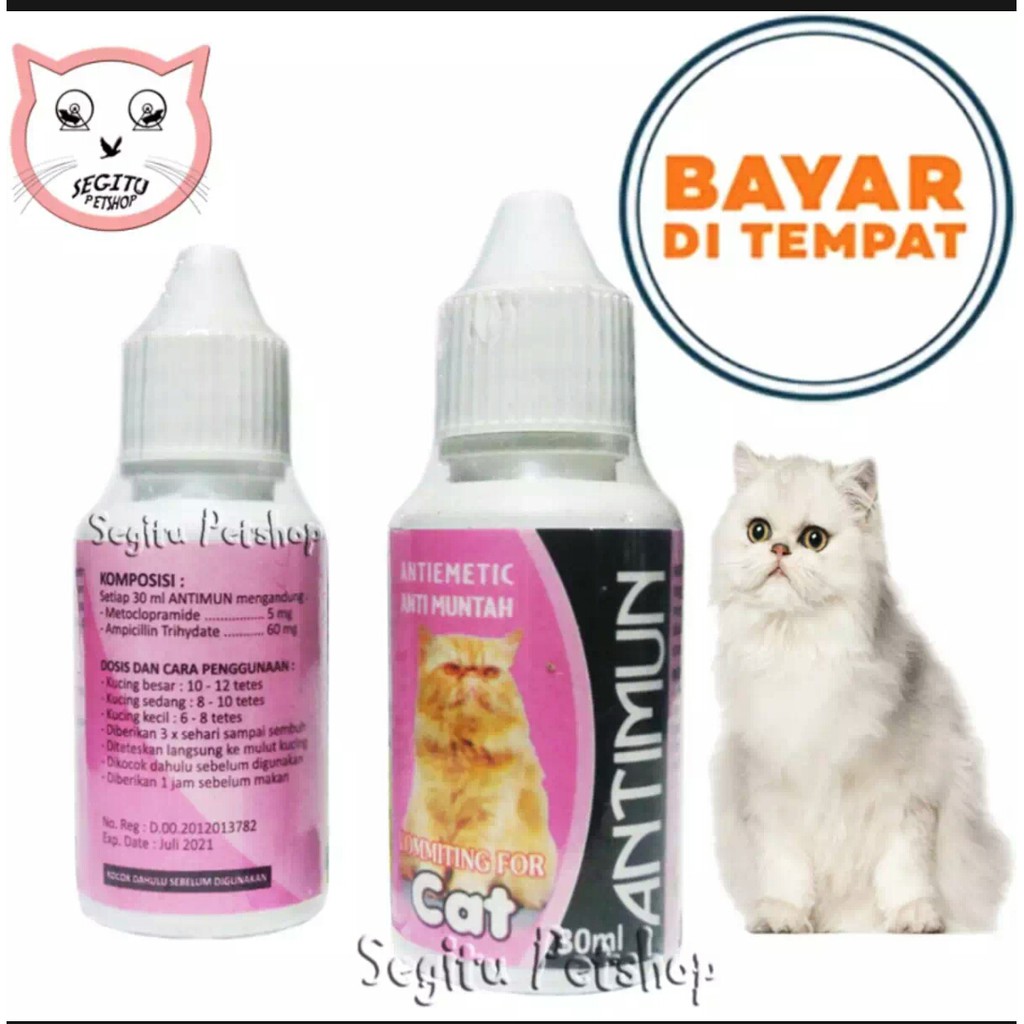 OBAT KUCING SAKIT MUNTAH MUNTAH ANTIMUN