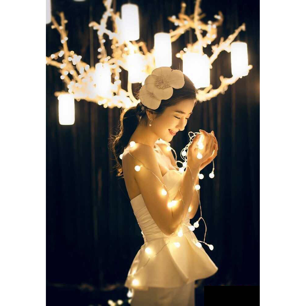 Lampu Hias Dekor Cherry Ball Fairy 5M Warm White