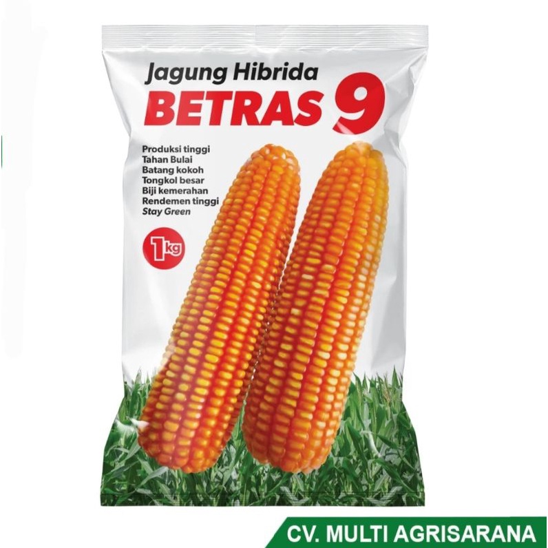 Benih Jagung hibrida BETRAS 9 - Bibit Jagung Pipil Bersertifikat