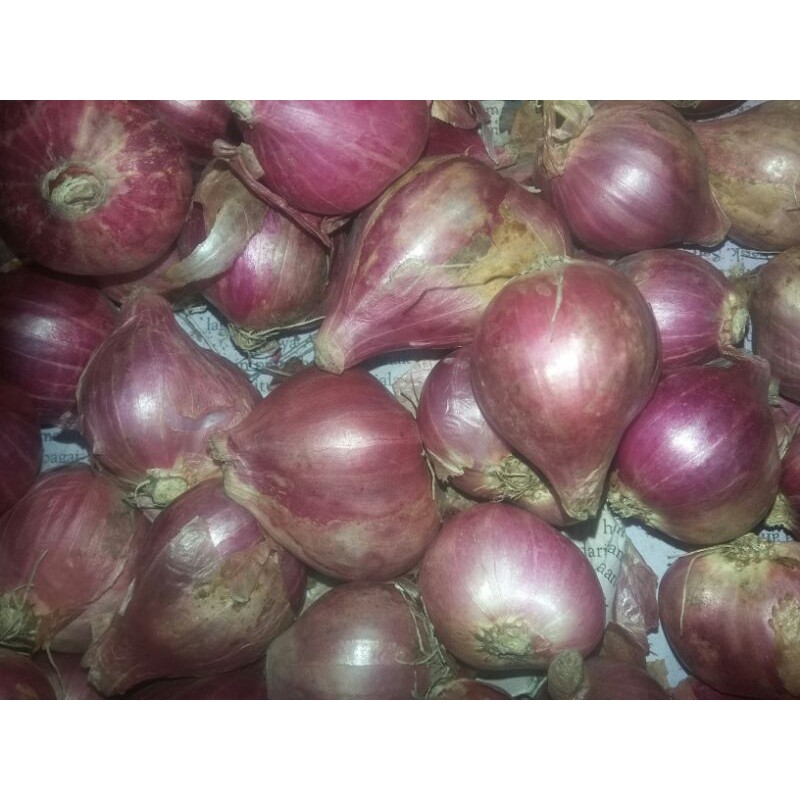 

Bawang merah 500 gr