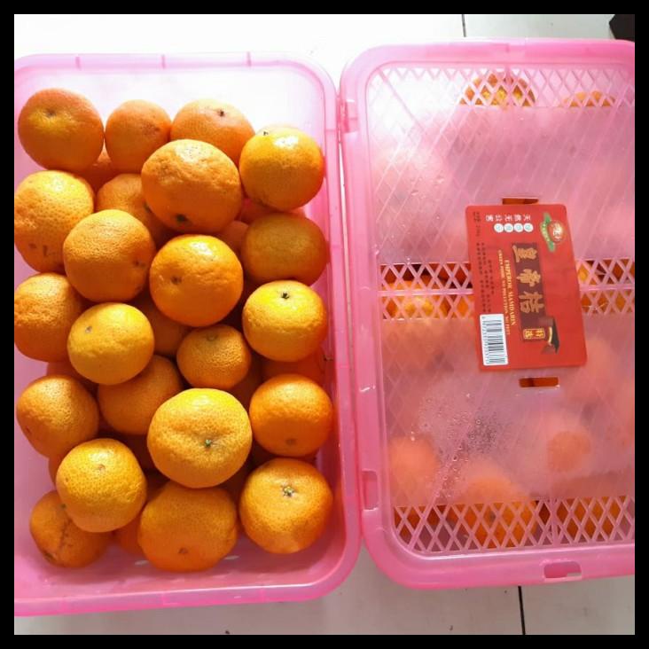 

Murah 1 Box Buah Gift Jeruk Santang Daun Birma Parcel Sinchia Imlek