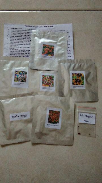 Biji Bunga Dahlia Kuning Jingga (rare Yellow Orange Dahlia Seeds)