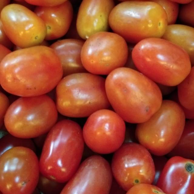 

Tomat cherry