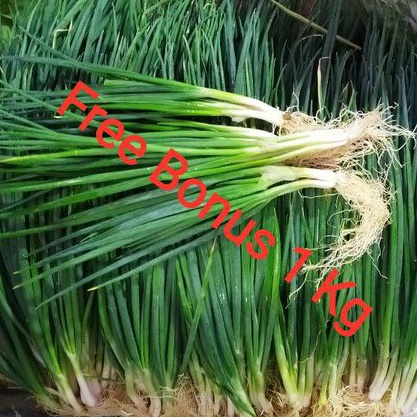 

Daun Bawang Cung | Chung | Daun Bawang Kecil 250gr + Gratis Bonus