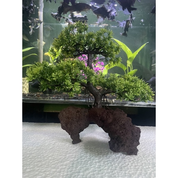 Jual Hiasan Aquarium Tanaman Hias Bahan Plastik Dan Batu Lava Shopee Indonesia