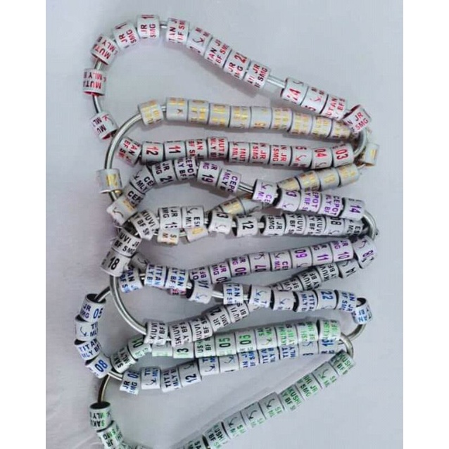 Ring burung murai batu love bird perkutut merpati puter pelung model laser winner full