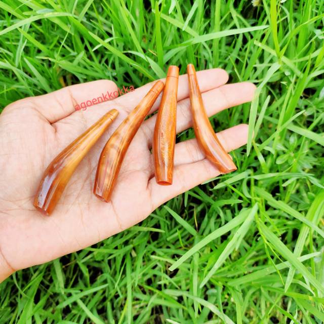 Pipa kokka kaukah  cokelat
