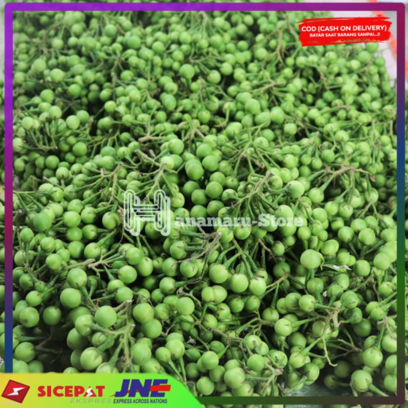 

Buah cepokan atau buah takokak ( 1 kg )