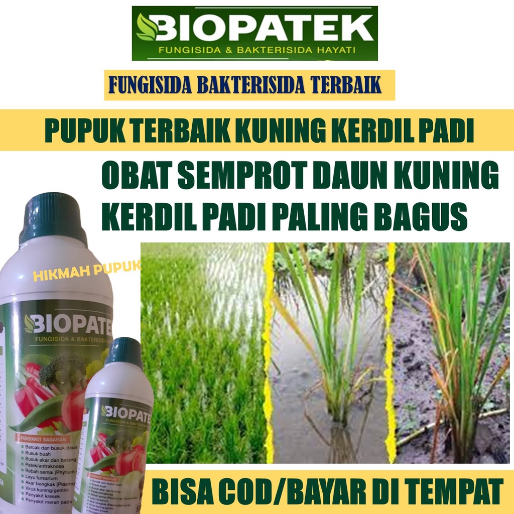 PROMO MURAH BIOPATEK Pupuk Kuning Kerdil Rumput Tanaman Padi Isi 500 ML BIOPATEK, Pupuk Organik Cair