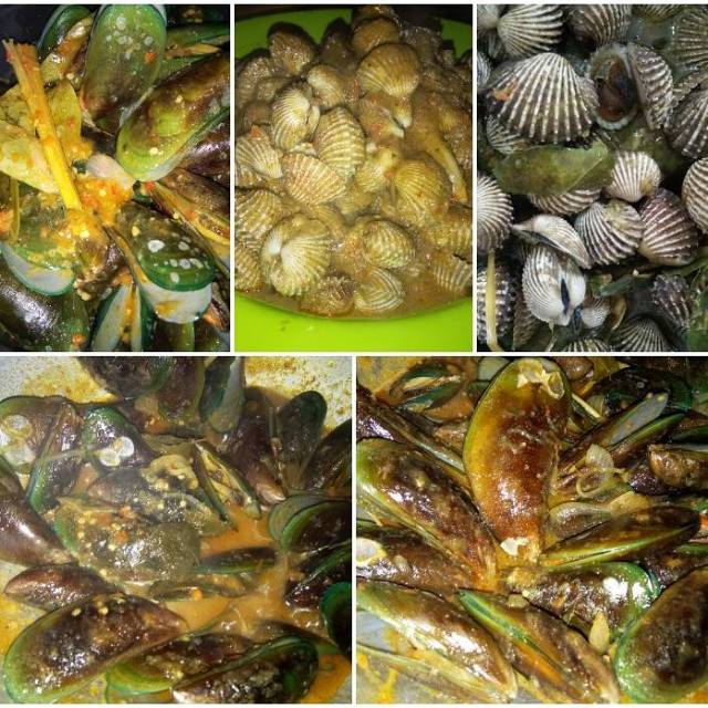

Kerang setan mlejit