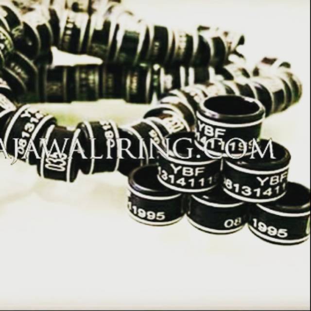 Ring burung list laser ukuran 9 10 dan 11 mm