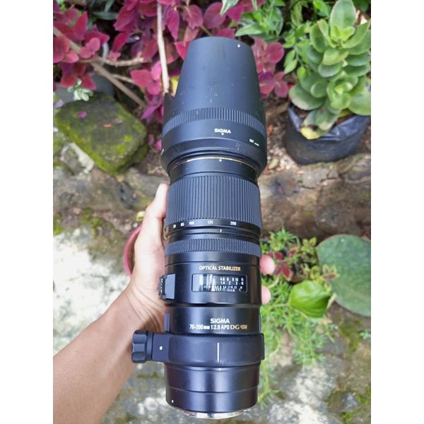lensa sigma 70 200 f2.8 OS for canon