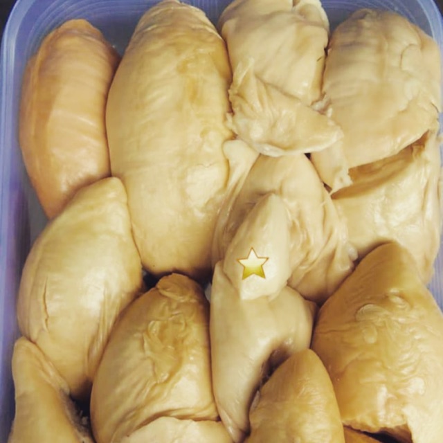 

1 Box Durian Nias Super 800gram