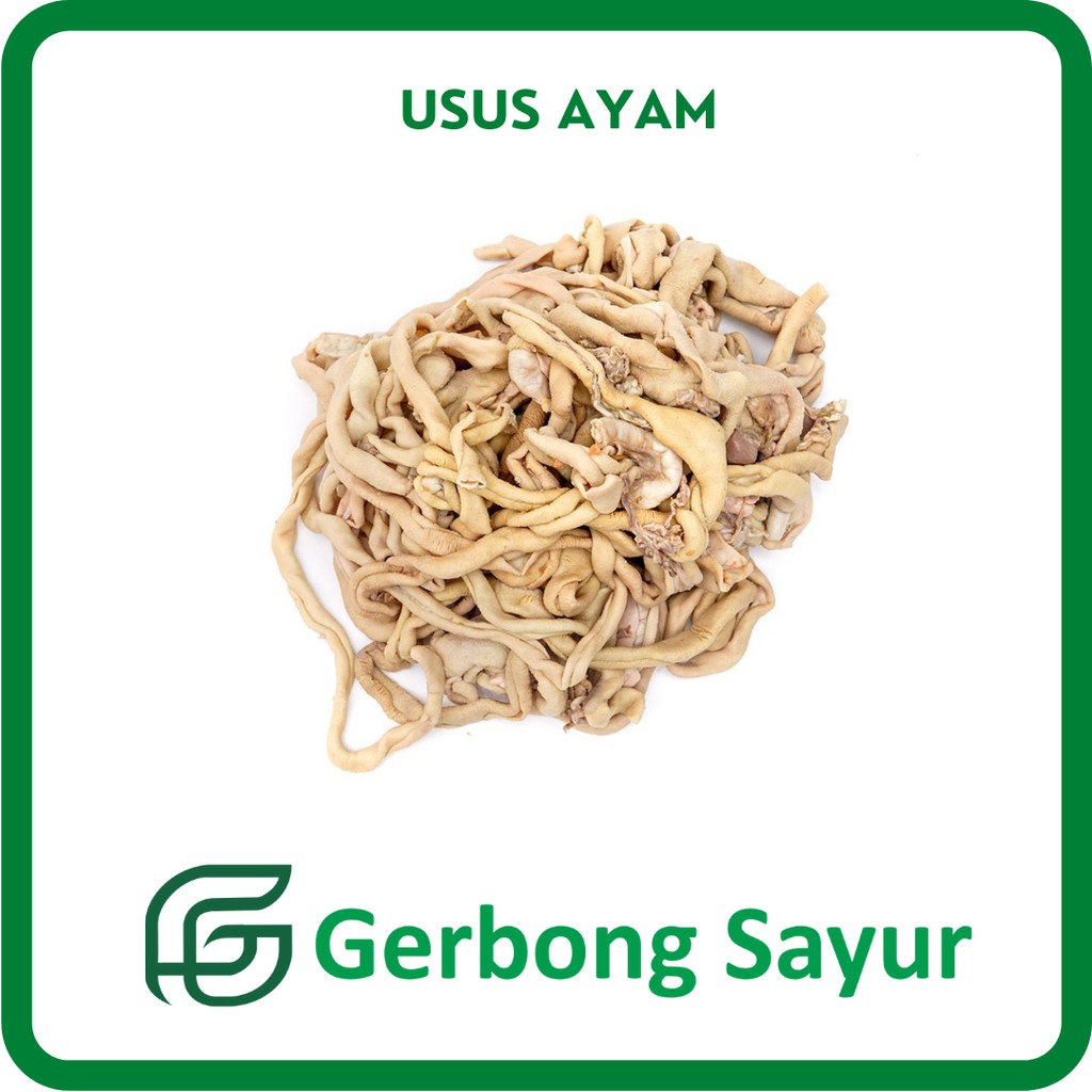 

Usus Ayam Segar - 500g