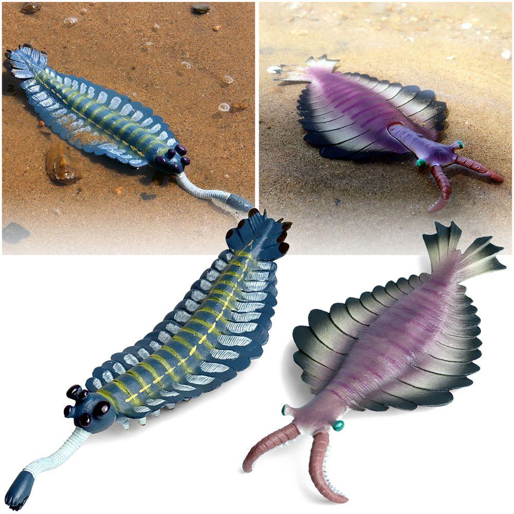 Nanas Prasejarah Organisme Laut Model Plastik Lanskap Mikro Belajar Dini Simulasi Anomalocaris