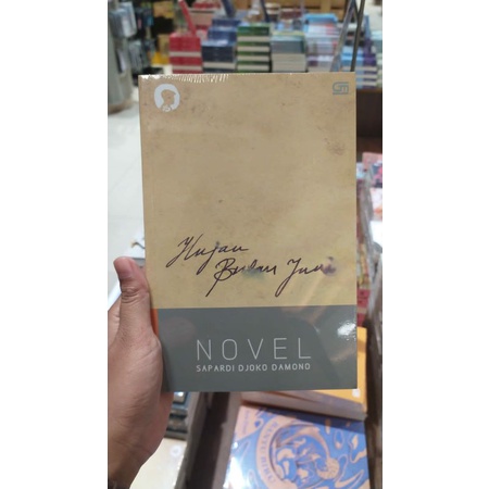 hujan bulan juni (novel)