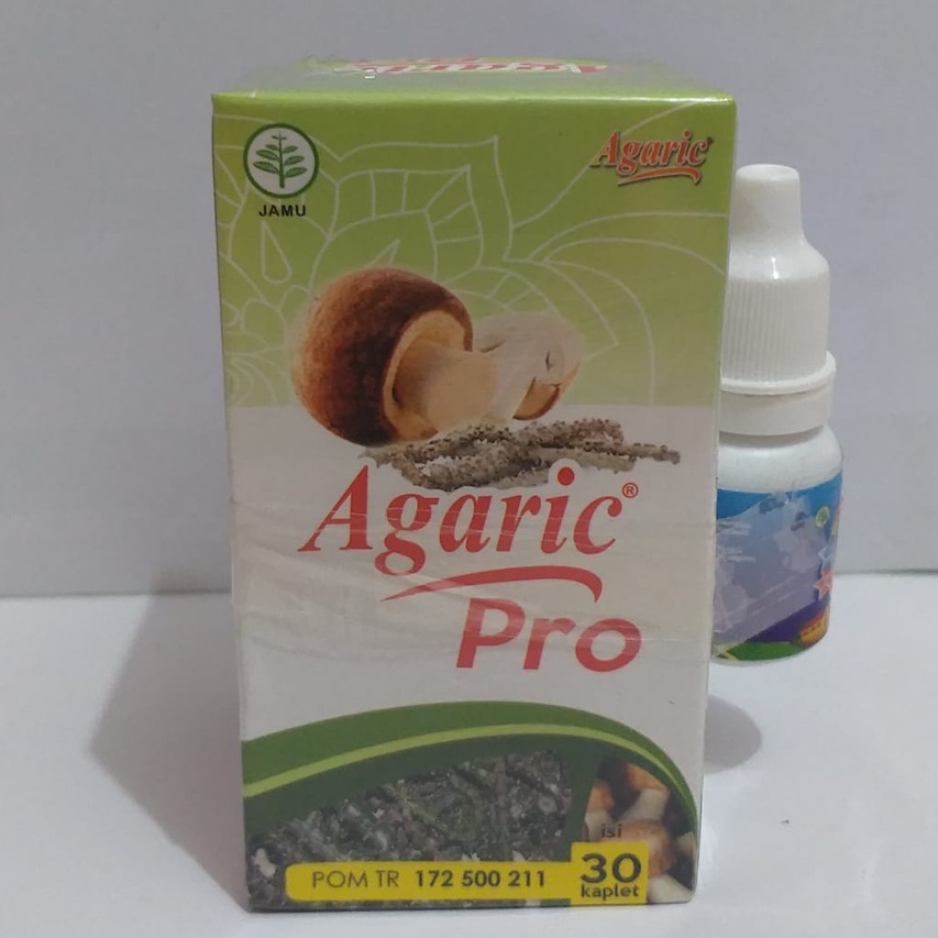 Agaric Pro Obat Herbal Diabetes