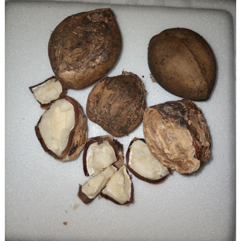 

termurah kemiri kering 500g