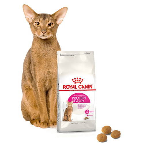 Royal Canin Protein Exigent Cat Dry Food 400 Gr / MAKANAN KUCING / RC