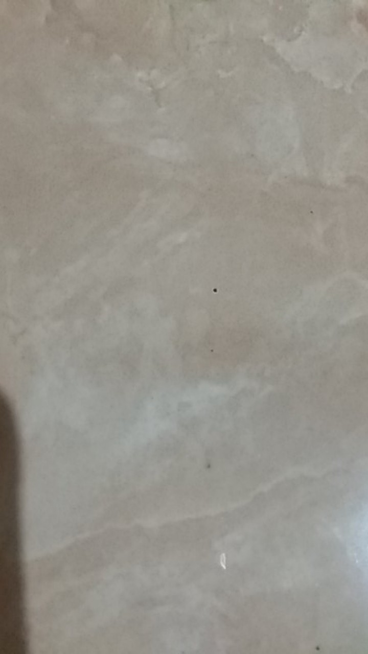 Sarung Tangan Plastik Sekali Pakai 100/pack