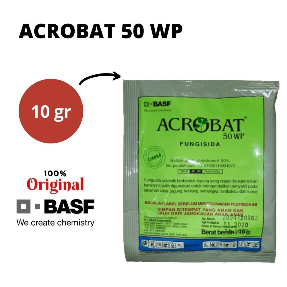 Acrobat 50 WP Fungisida Sistemik Obat Tanaman Pertanian Fungisida Cabe Kentang Jagung