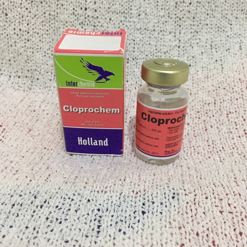 cloprochem 10ml pemicu birahi
