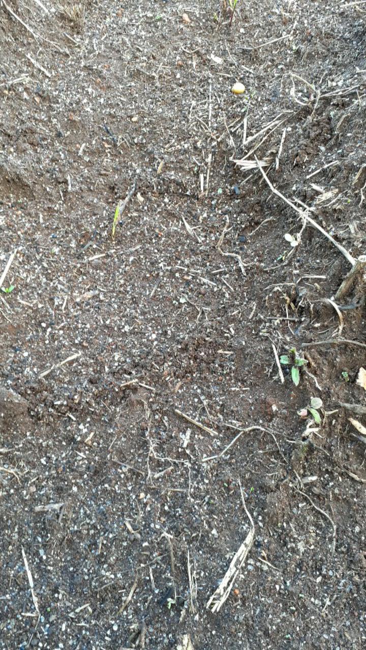 Baju Batik Anak Cowok Kemeja Lengan Pendek Batik Anak Laki Laki