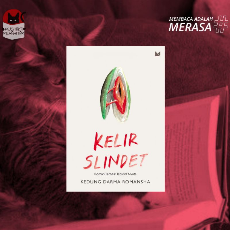 Kelir Slindet (Roman Terbaik Tabloid Nyata)