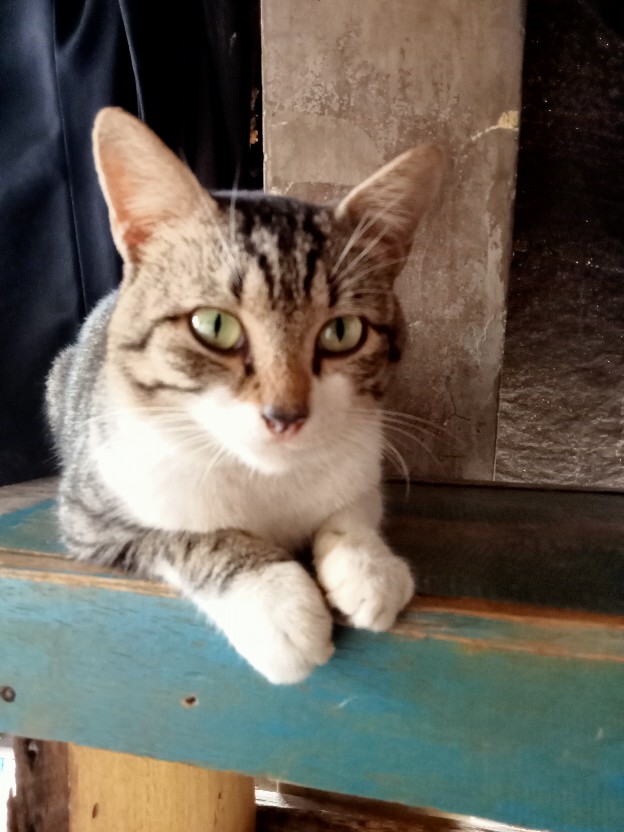 Kaos Santai Malioboro Model Jefri Mantul