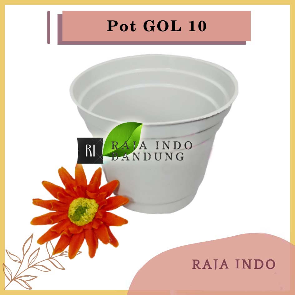 Pot 10 polos - Pot Bulat Mini Plastik Kecil Bisa Untuk Vas Bunga Kaktus Sukulen Pot Bunga 10 cm Putih Polos