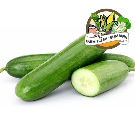 

cucumber (timun) 500grm