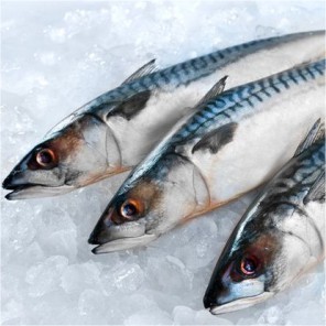 

Ikan Sarden / 500gr #Seafood #Segar #Online #Bandung #Cimahi