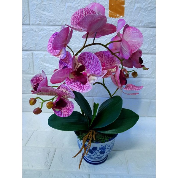 anggrek latex  meja + vas keramik biru